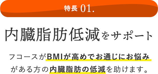 特長 01. 内臓脂肪低減をサポート