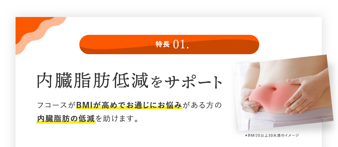 特長 01. 内臓脂肪低減をサポート