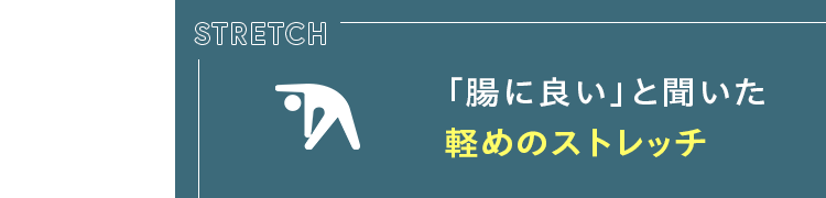 「腸に良い」と聞いた軽めのストレッチ
