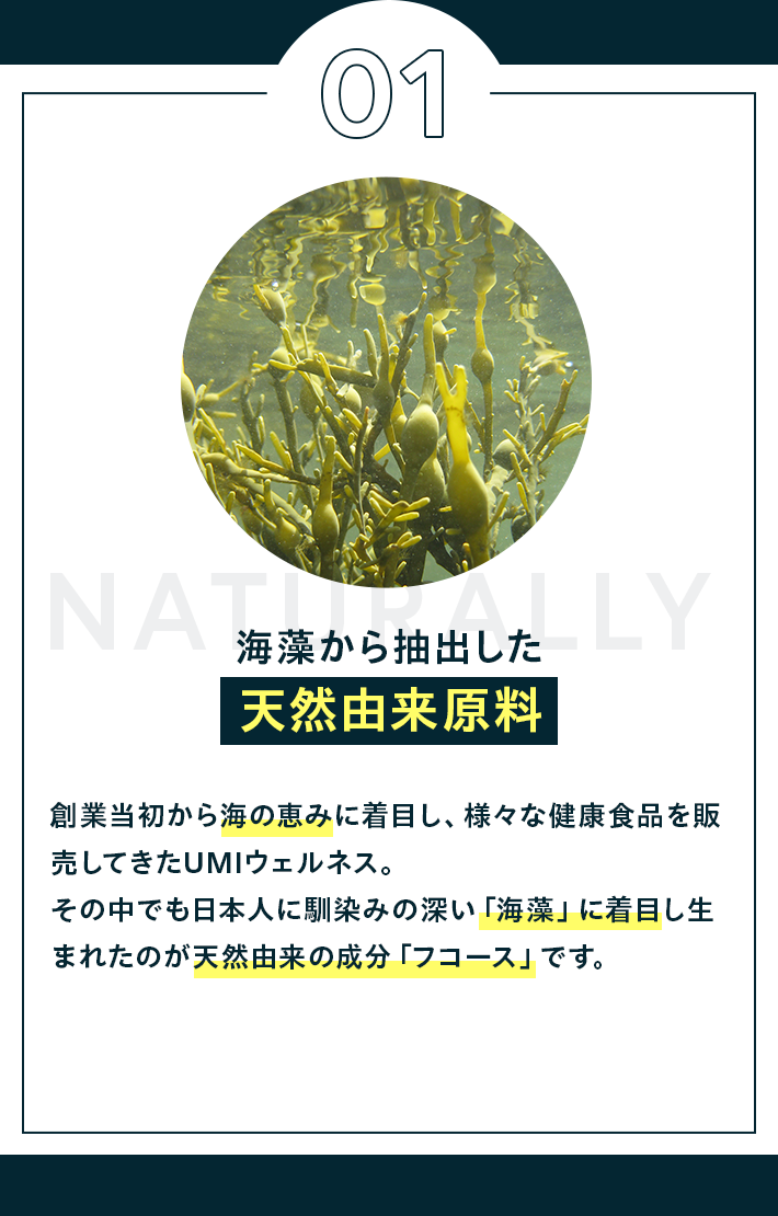 海藻から抽出した天然由来原料